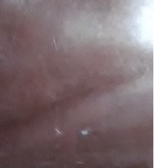 Fossil Brown Alligator Leather Purse 75032 - Picture 8 of 9